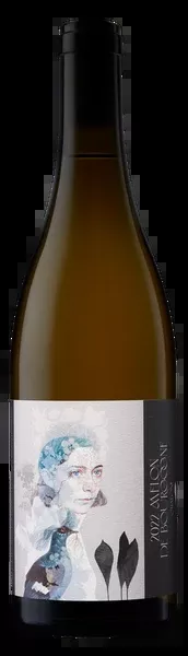 Jolie Laide Melon de Bourgogne