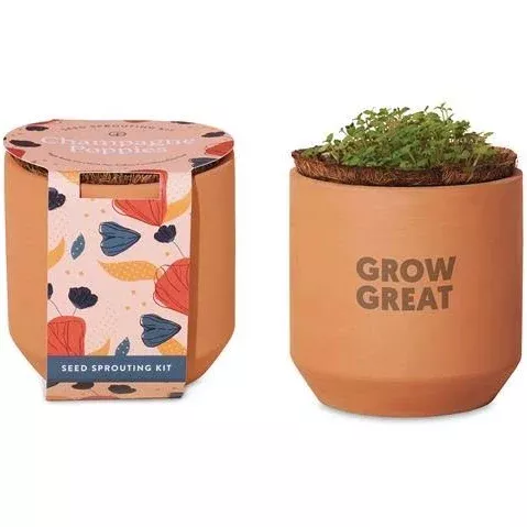 Tiny Terracotta Kit: Champagne Poppies